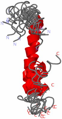 Image NMR Structure - all models