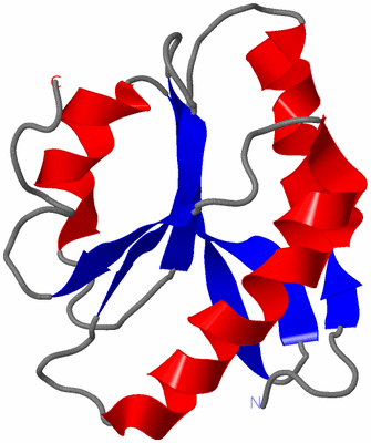 Image NMR Structure - model 1