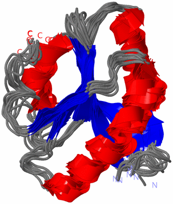 Image NMR Structure - all models