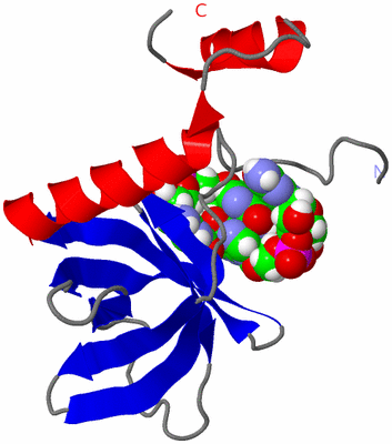 Image NMR Structure - model 1