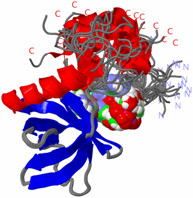 Image NMR Structure - all models