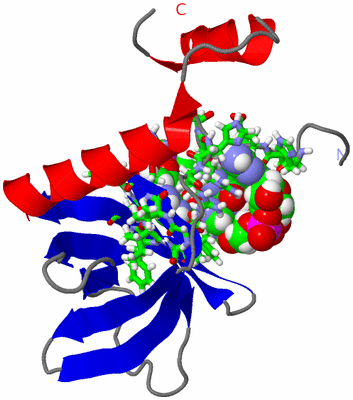 Image NMR Structure - model 1, sites