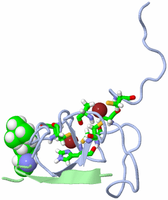 Image NMR Structure - model 1, sites