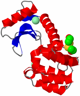 Image Asym./Biol. Unit