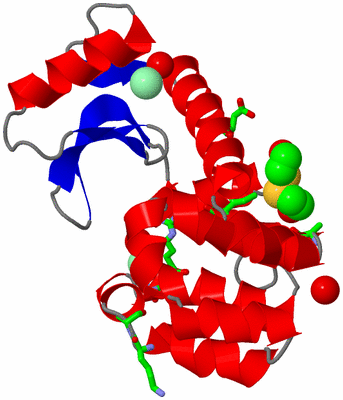 Image Asym./Biol. Unit - sites