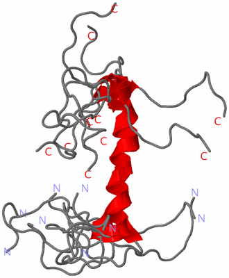 Image NMR Structure - all models