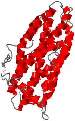 Image NMR Structure - model 1