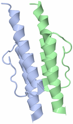 Image NMR Structure - model 1