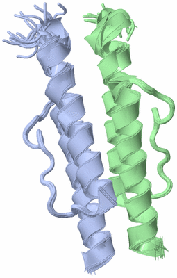 Image NMR Structure - all models