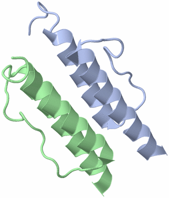 Image NMR Structure - model 1