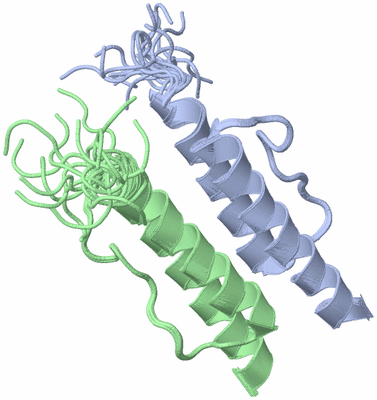 Image NMR Structure - all models