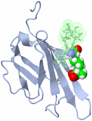 Image NMR Structure - model 1