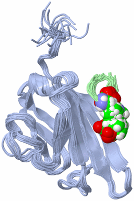 Image NMR Structure - all models