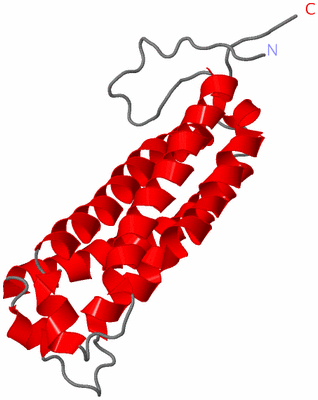 Image NMR Structure - model 1