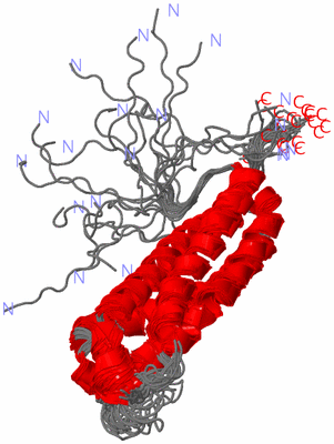 Image NMR Structure - all models