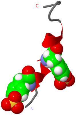 Image NMR Structure - model 1