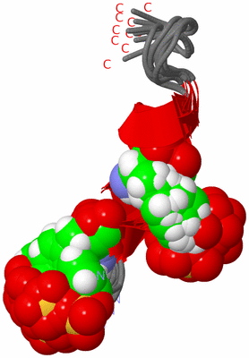 Image NMR Structure - all models