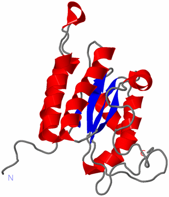 Image NMR Structure - model 1