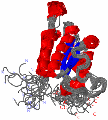 Image NMR Structure - all models