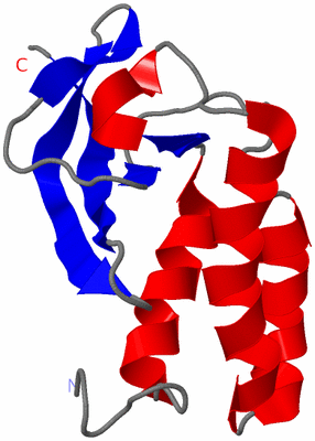 Image NMR Structure - model 1