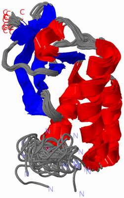 Image NMR Structure - all models