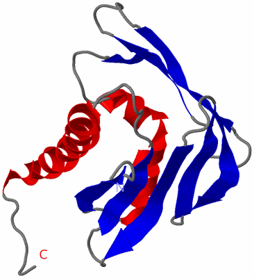 Image NMR Structure - model 1