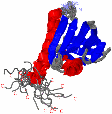 Image NMR Structure - all models