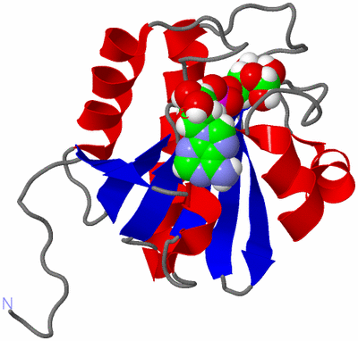 Image NMR Structure - model 1