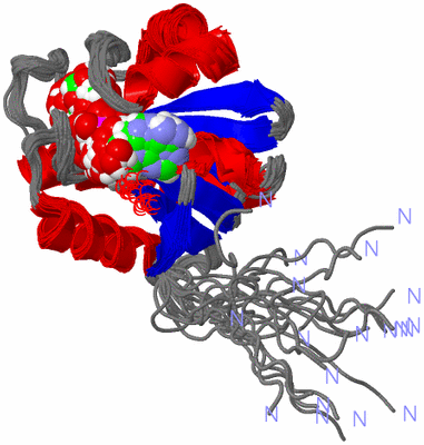 Image NMR Structure - all models