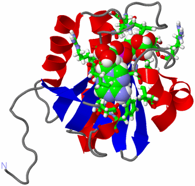 Image NMR Structure - model 1, sites