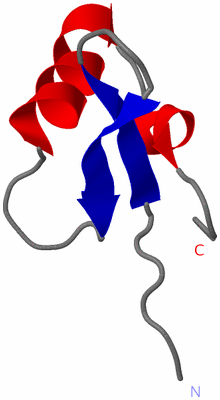 Image NMR Structure - model 1