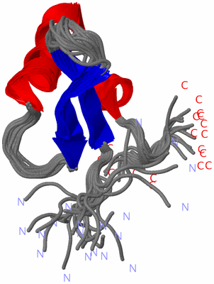 Image NMR Structure - all models