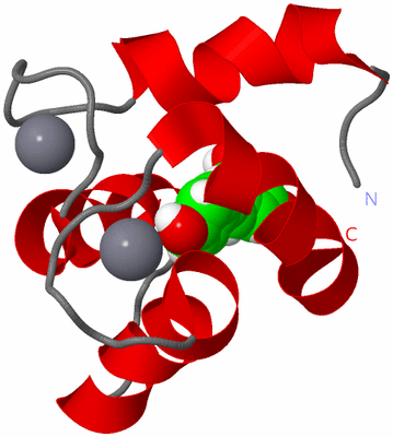 Image NMR Structure - model 1