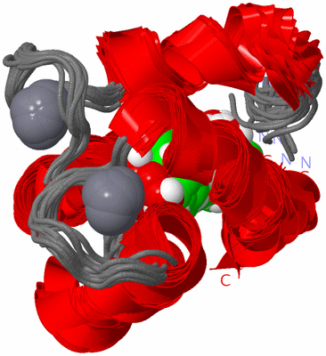 Image NMR Structure - all models