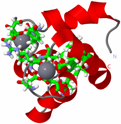 Image NMR Structure - model 1, sites