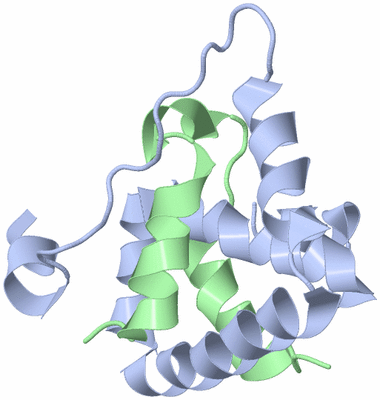 Image NMR Structure - model 1