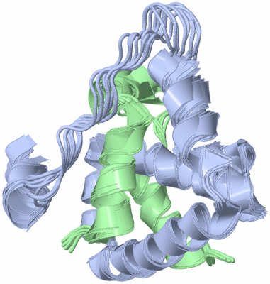 Image NMR Structure - all models