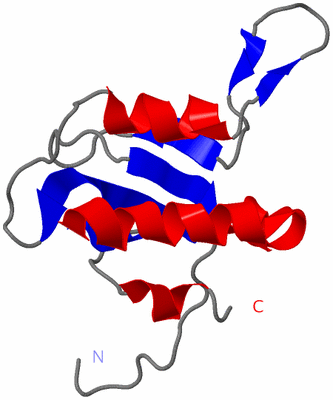 Image NMR Structure - model 1