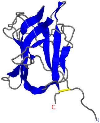 Image NMR Structure - model 1