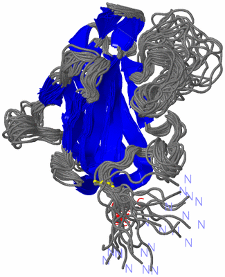 Image NMR Structure - all models