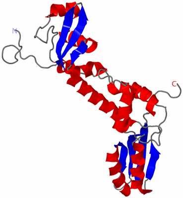 Image NMR Structure - model 1