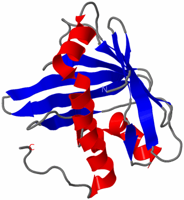 Image NMR Structure - model 1