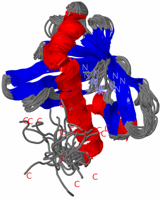 Image NMR Structure - all models