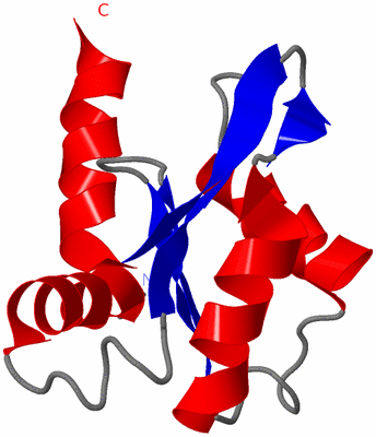 Image NMR Structure - model 1