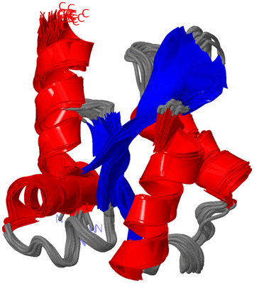 Image NMR Structure - all models