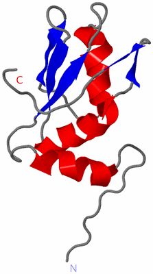 Image NMR Structure - model 1