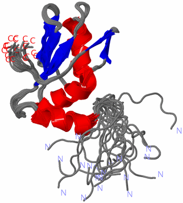 Image NMR Structure - all models