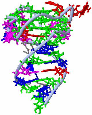 Image NMR Structure - model 1