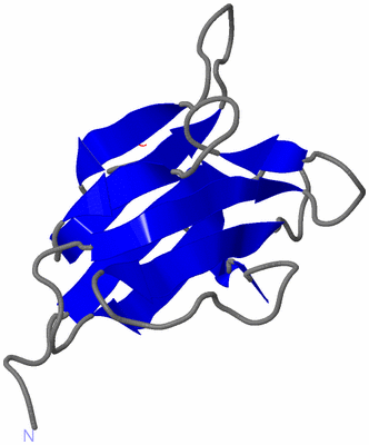 Image NMR Structure - model 1