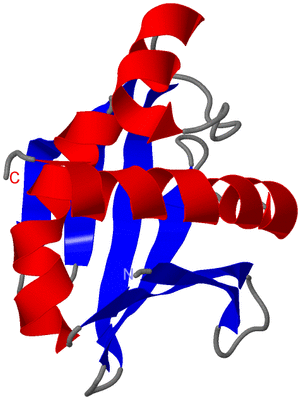 Image NMR Structure - model 1